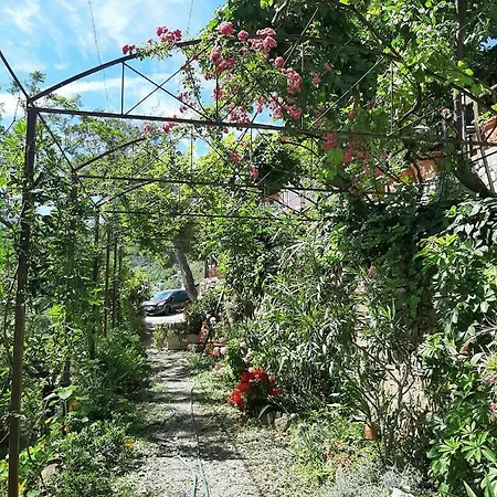 La Casa Del Glicine *