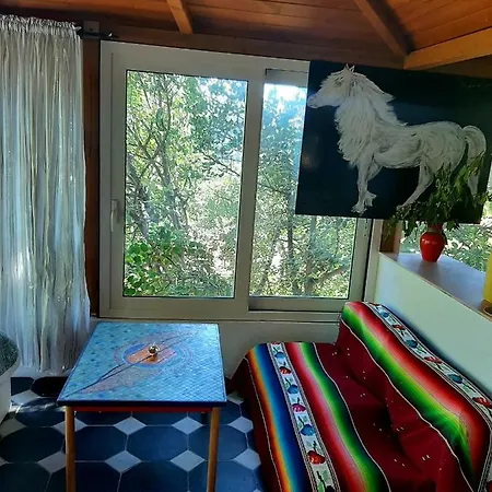 La Casa Del Glicine