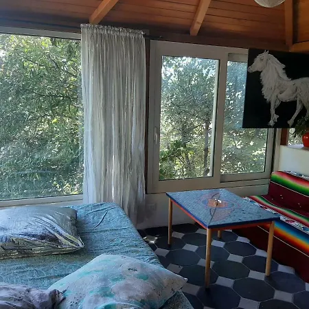 La Casa Del Glicine サンレモ