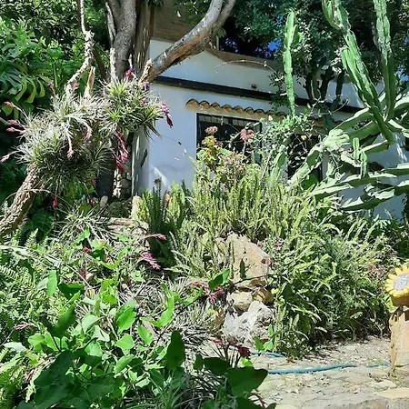 La Casa Del Glicine サンレモ