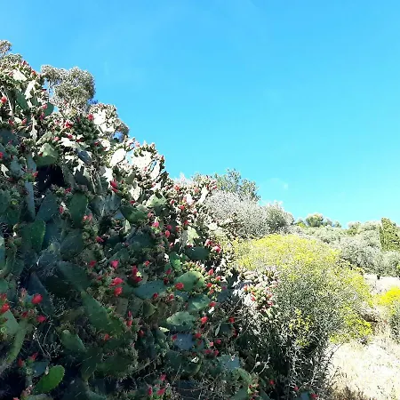 La Casa Del Glicine *