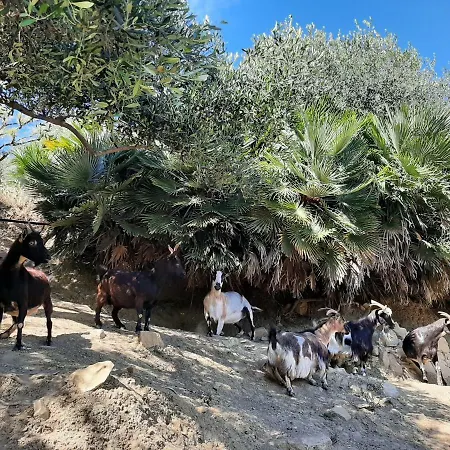 La Casa Del Glicine