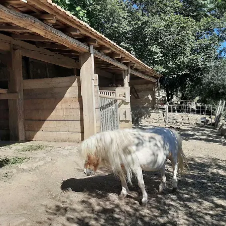 La Casa Del Glicine * サンレモ